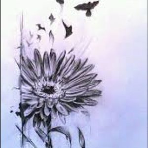 Meet your Posher, Joanna